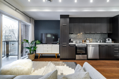 240 rue Murray apt 201, Griffintown, Montreal