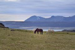 Hvalfjörður_153