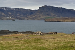 Hvalfjörður_156